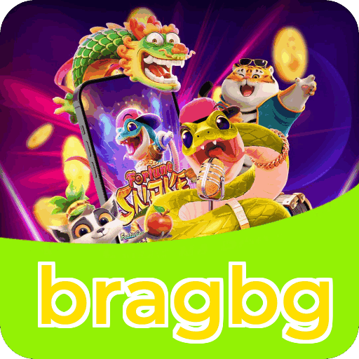bragbg VIP — segmentação e política de privacidade da plataforma